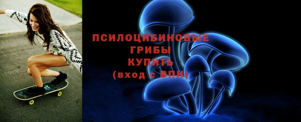 мдпв Мегион