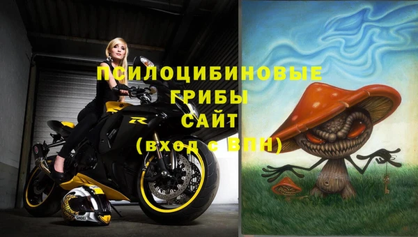 мдпв Мегион