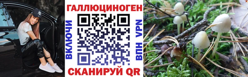 наркотики  MEGA как зайти  Псилоцибиновые грибы Psilocybine cubensis  Электросталь 